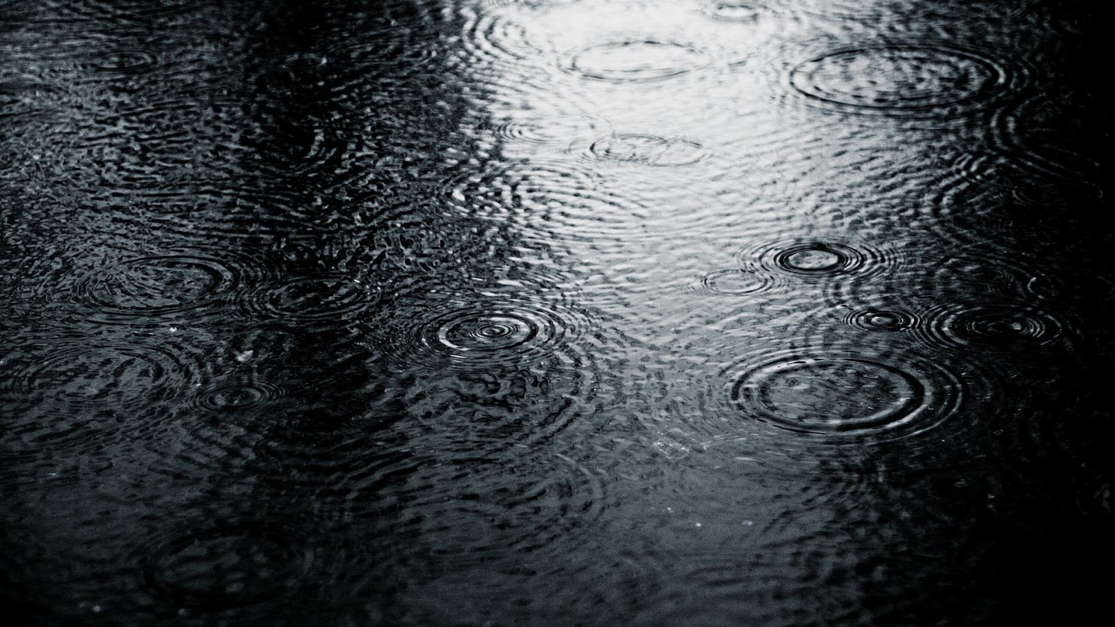Rainy Day - Emanuel County Live