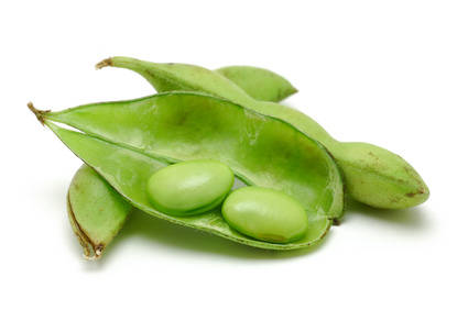 Bressmer & Francke - Product: Soybean oil powder