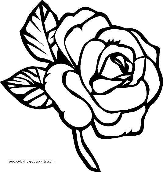 flowers coloring pages flowers coloring pages flowers coloring ...