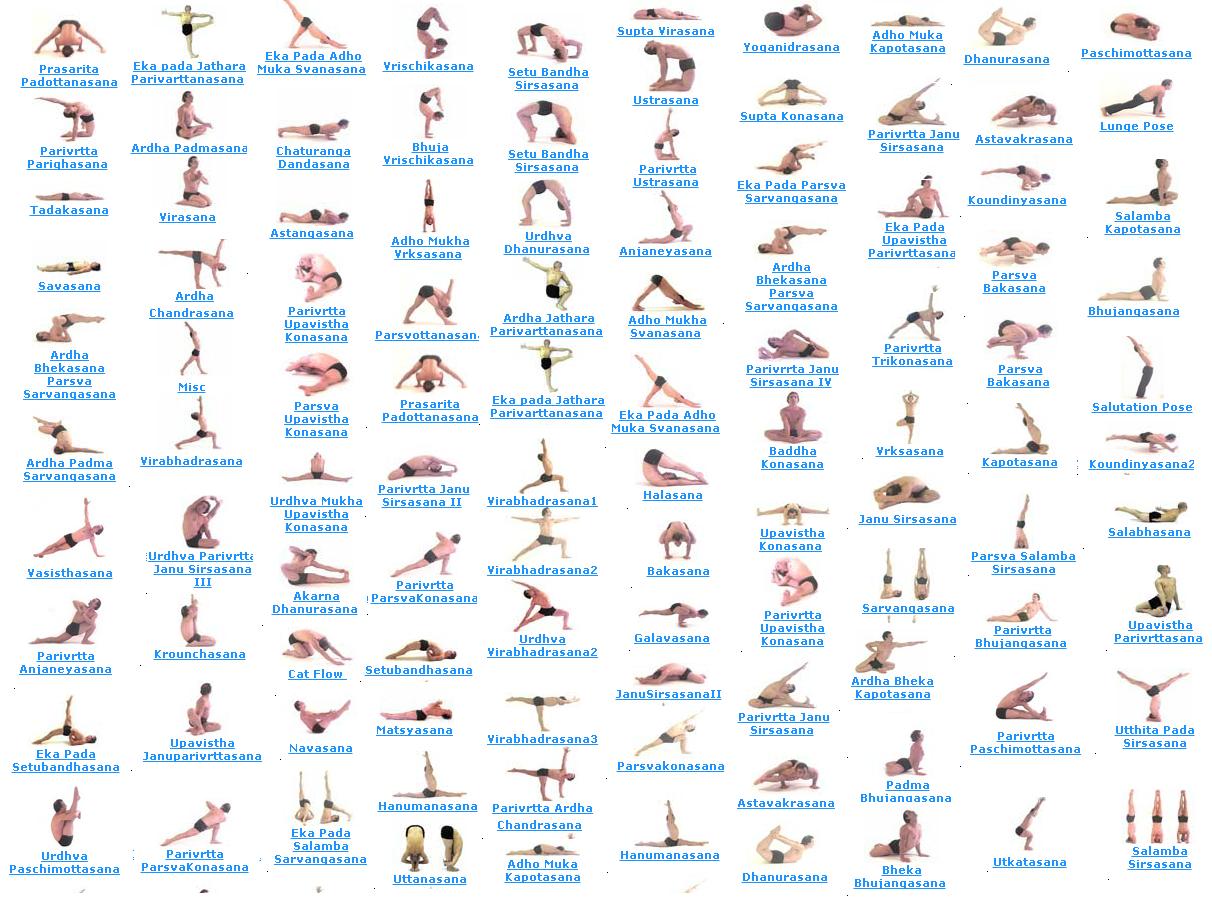 Yoga Poses And Names | Human Body Anatomy