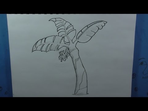 O | How to Draw Faster