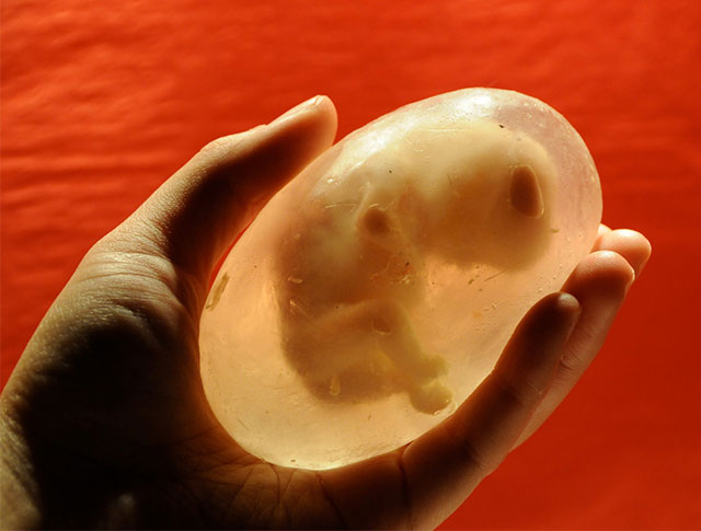 fetus-soap.jpg