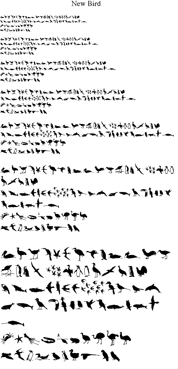 New Bird Font