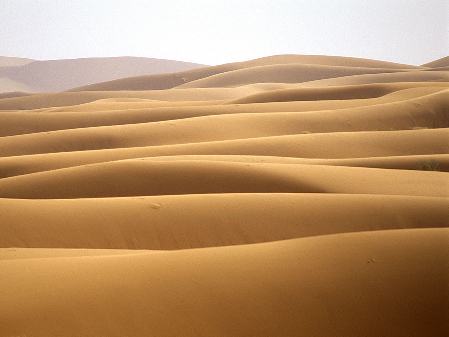 sand dune | Britannica.com