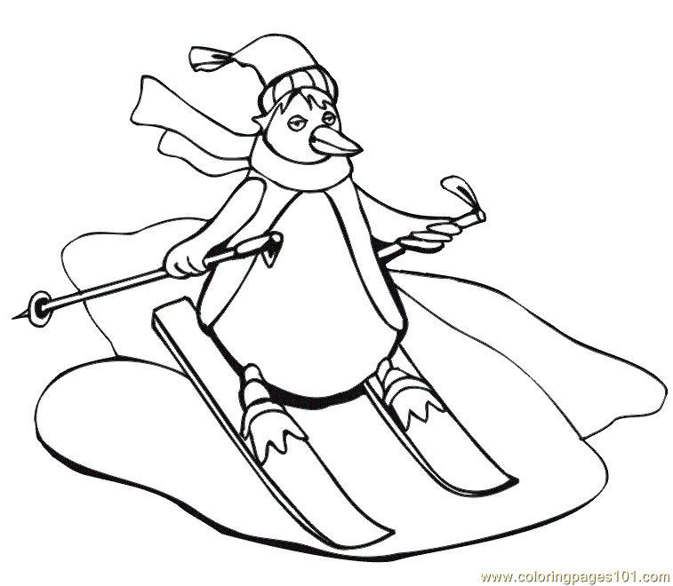 Coloring Pages Skiing penguin (Birds > Penguin) - free printable ...