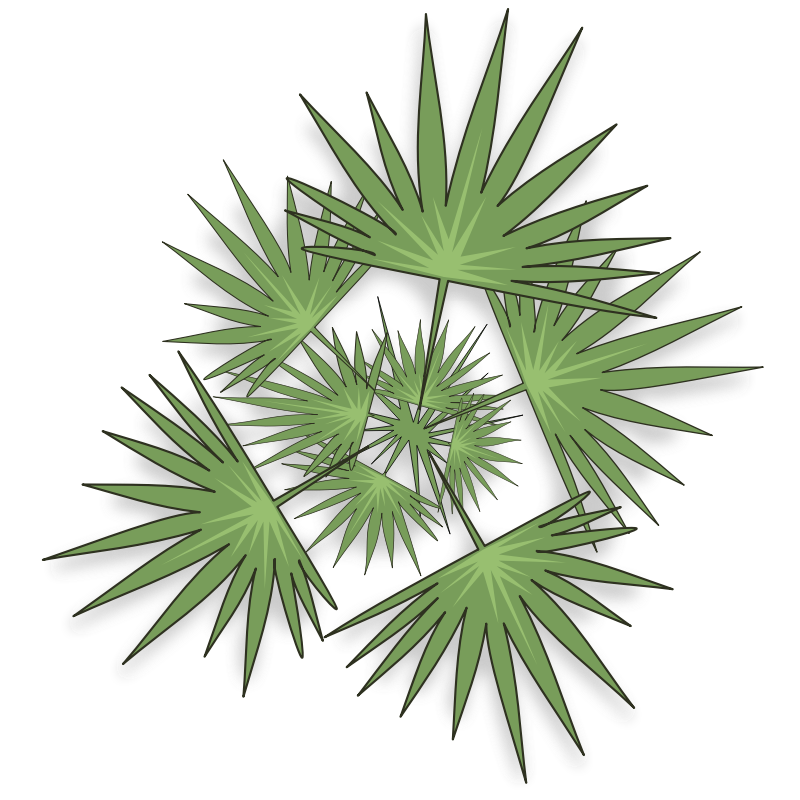 Clipart - palm-03