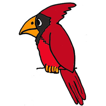 Funny Cardinal Cartoon design by naturesfun, Animals t-shirts ...