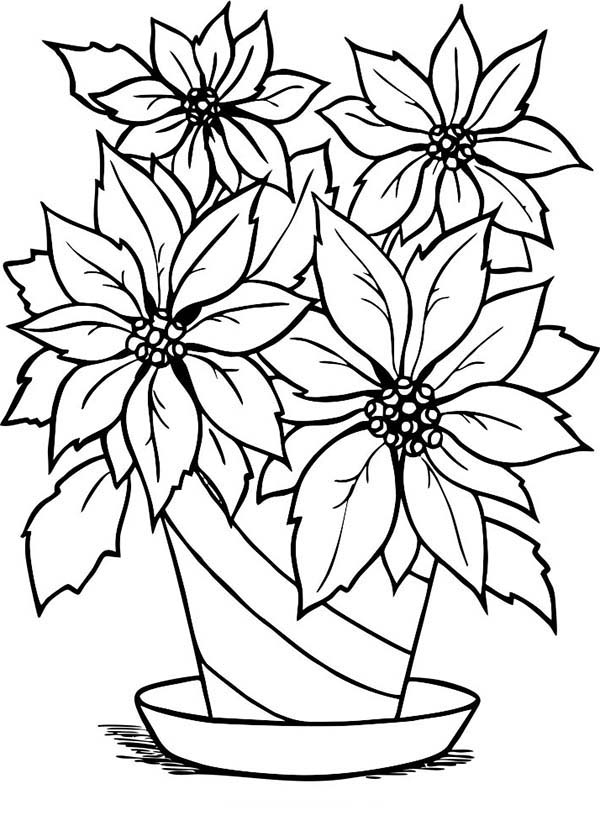 Christmas Flowers Poinsettias Coloring Pages Coloring Pages