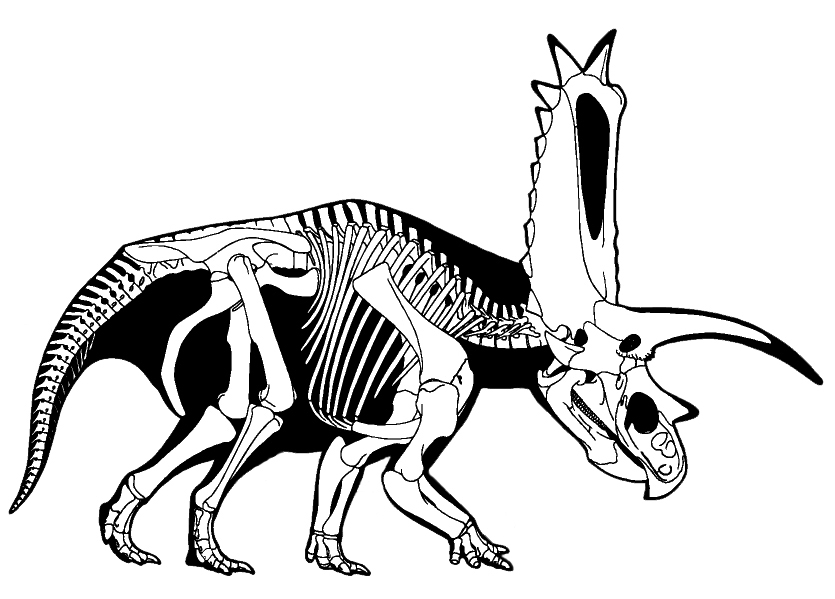 Pentaceratops - Wikipedia, the free encyclopedia
