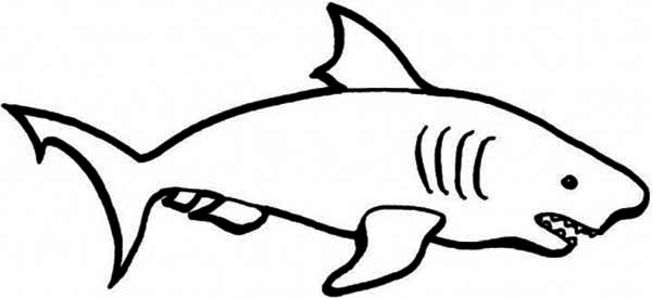 A Simple Drawing of Blue Shark Coloring Page | Kids Play Color
