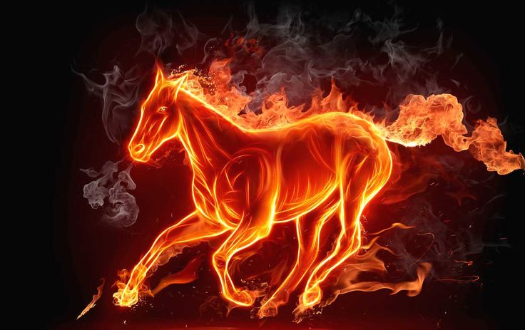 Free Wallpaper Downloads | Free Download Animated Wallpaper For ...