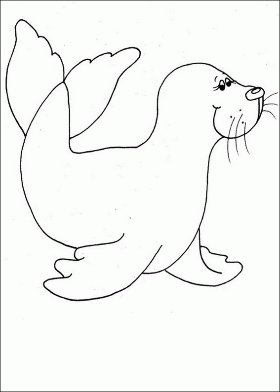 Baby Seal Coloring Pages, Baby Seal Coloring Page - Drawing Kids