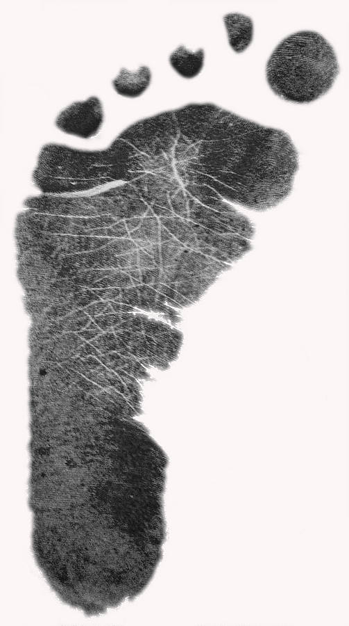 inkless handprint and footprint kit by stomp stamps ...