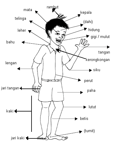 gilbert jasso: Parts of the Body