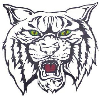 Wildcat Soccer: HARRISONVILLE TO FACE LOGAN-ROGERSVILLE WILDCATS ...