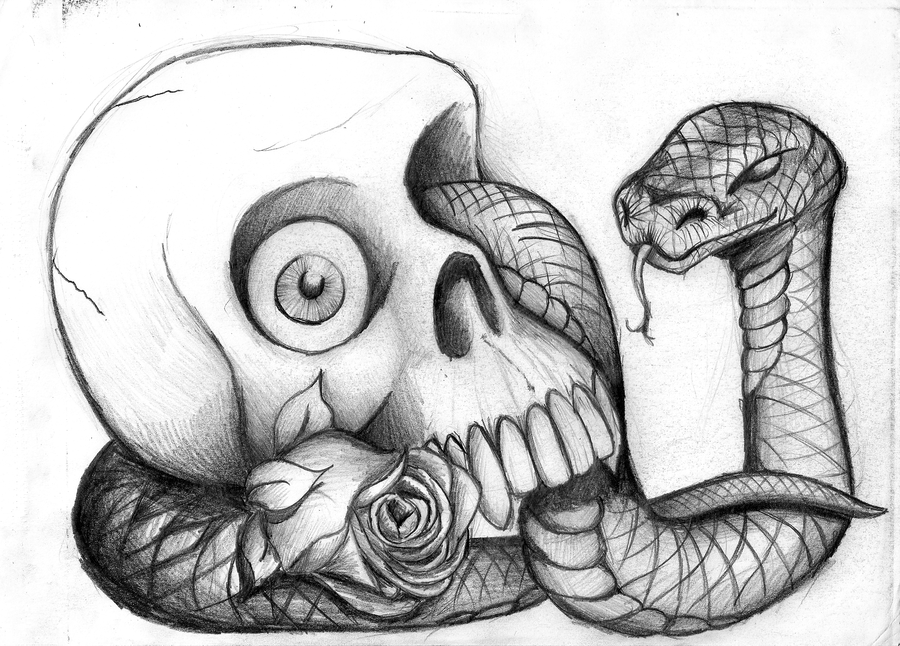 Skull And Snake Drawings - Gallery