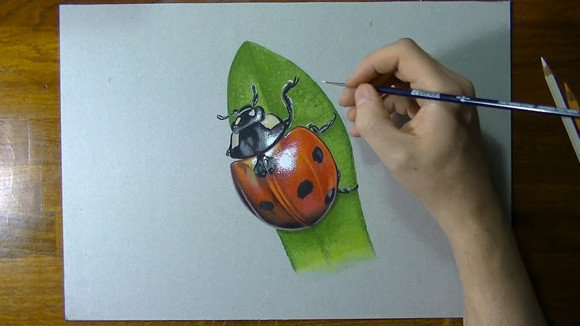 How I draw a ladybug - realistic drawing - YouTube