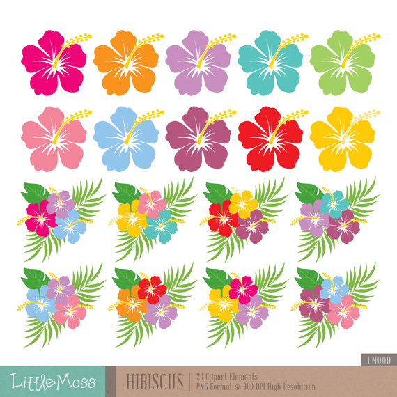 Hibiscus Digital Clipart Hawaiian Flower Clipart by LittleMoss