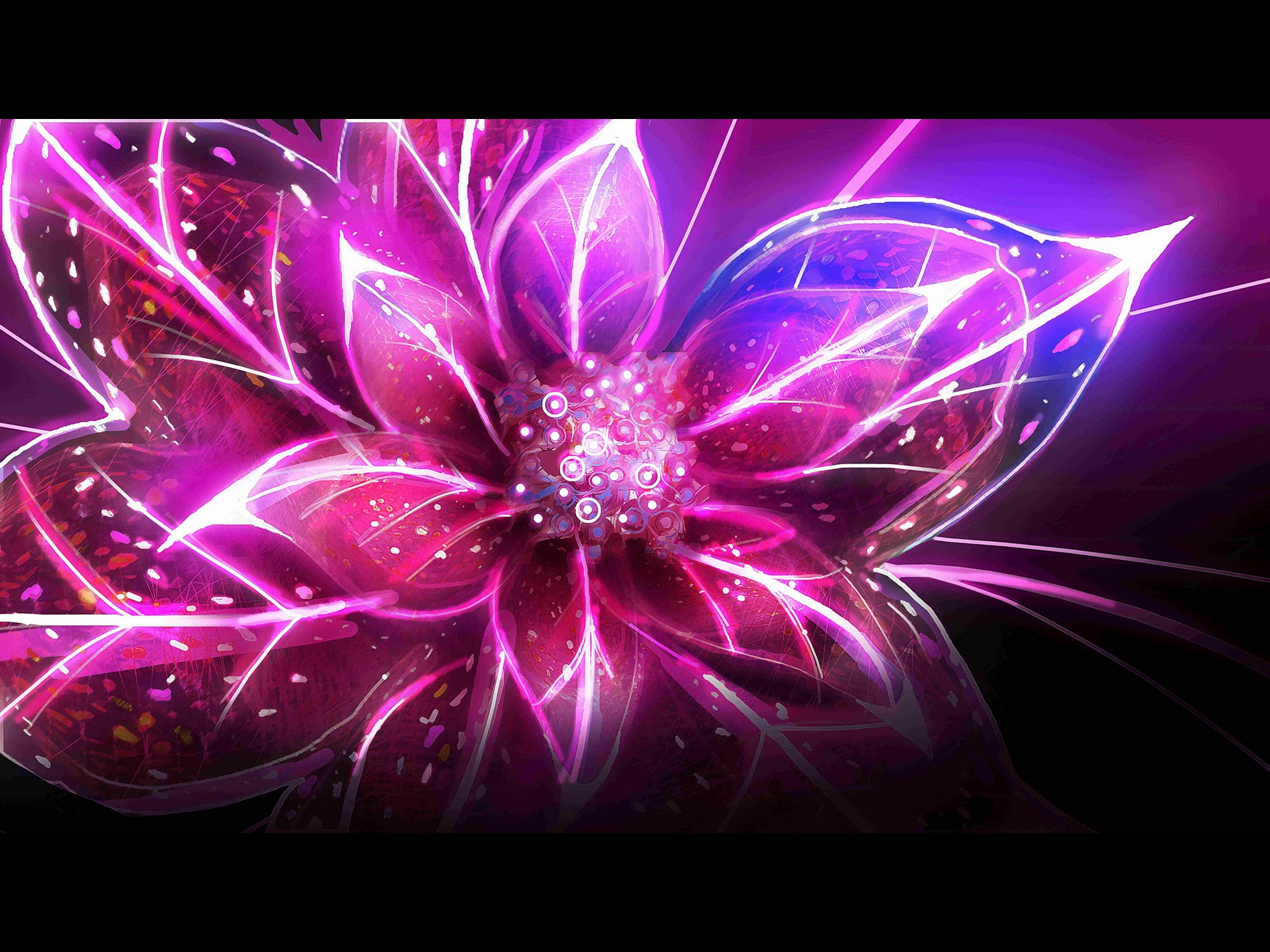 pink-flower.jpg