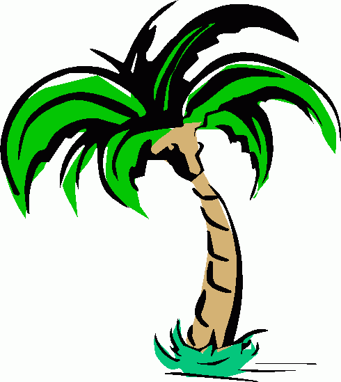 Cartoon Palm Tree Clip Art - Cliparts.co