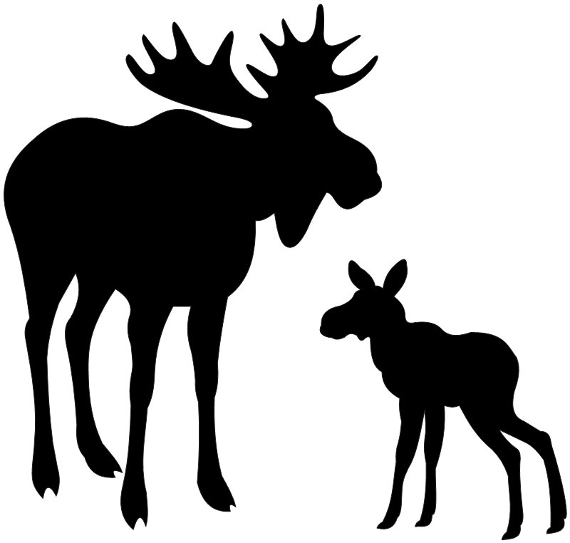 Popular items for vehicle sticker on Etsy