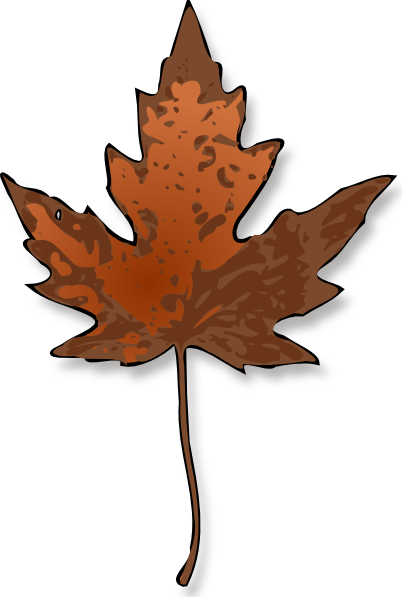 Maple Leaf clip art Free Vector / 4Vector