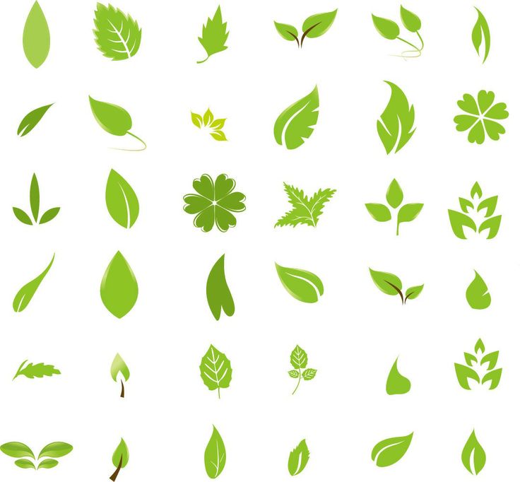 Green Leaf Design Elements | Ideas | Pinterest
