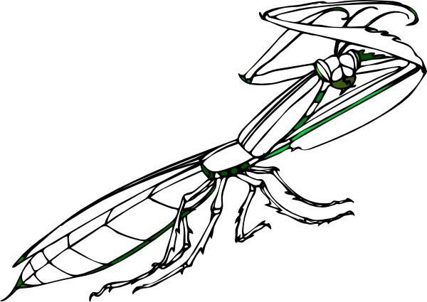 Praying Mantis clip art - vector clip art online, royalty free ...