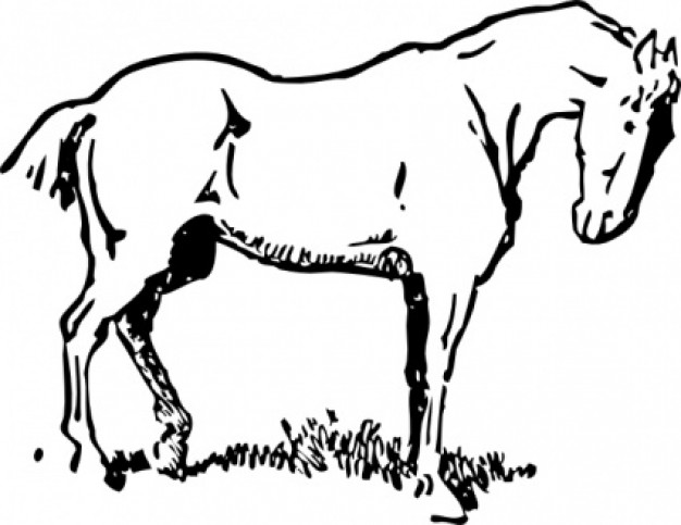 Horse Clipart Black And White | Clipart Panda - Free Clipart Images