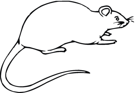 How To Draw A Cartoon Rat - Cliparts.co