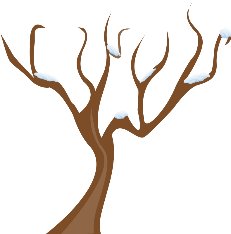 Cartoon Tree With Branches