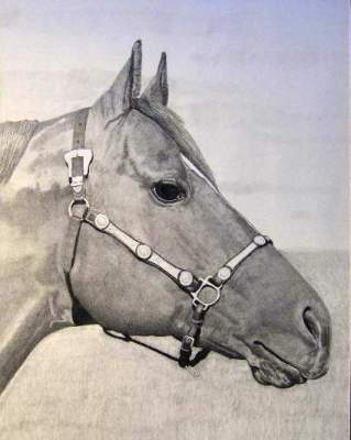 Online Contest - Horse Heads - Fine Art America