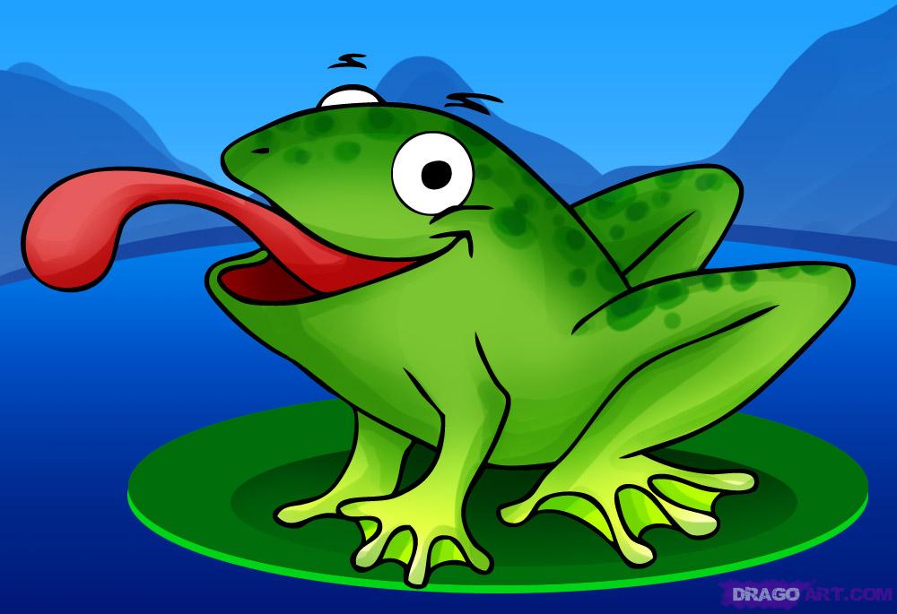 Photographs animated frogs - borzii