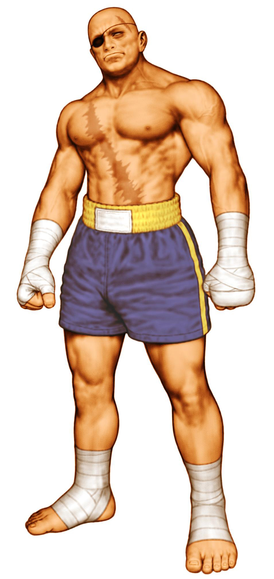 Baguseven 'blog: Street Fighter