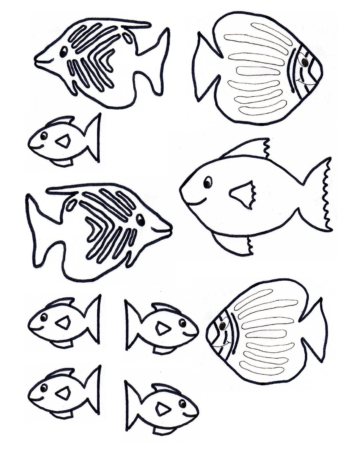 Fish Pictures For Kids 13586 Hd Wallpapers in Animals - Imagesci.com