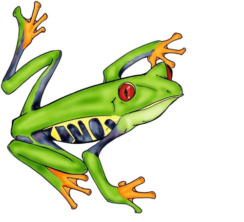 Red Eyed Tree Frog Clipart - ClipArt Best