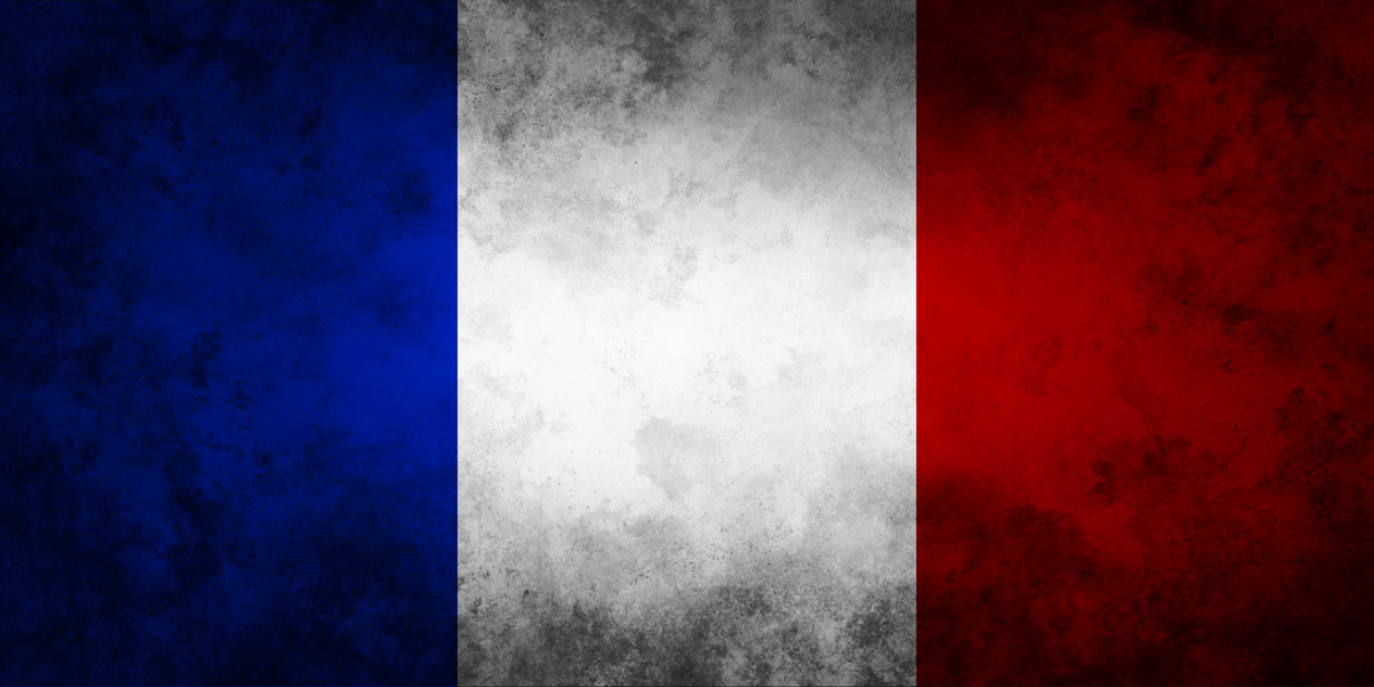 Flag of France by OzelotStudios on DeviantArt