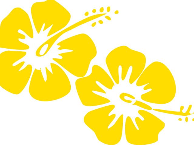 Hawaiian Luau Flowers - ClipArt Best - ClipArt Best