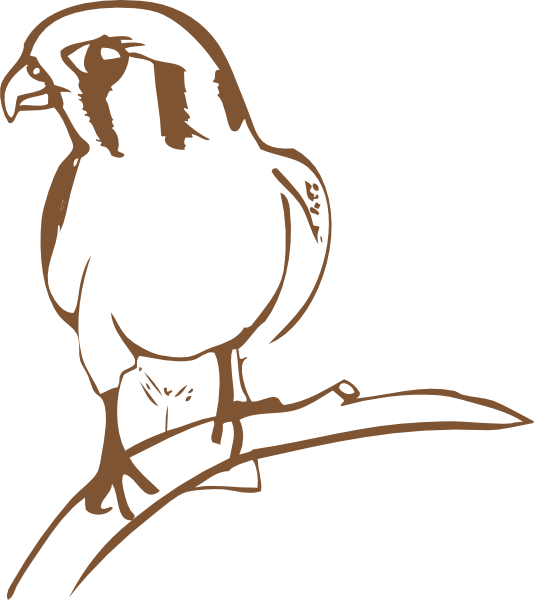 Falcon Symbol clip art - vector clip art online, royalty free ...