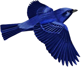 Dark Blue Bird Clip-art