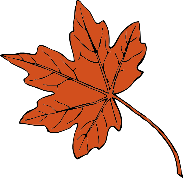 Maple Leaf clip art Free Vector / 4Vector