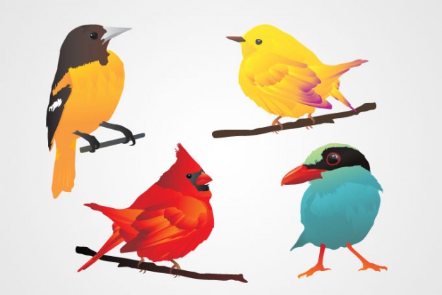 Birds Vector Vector | Free Download