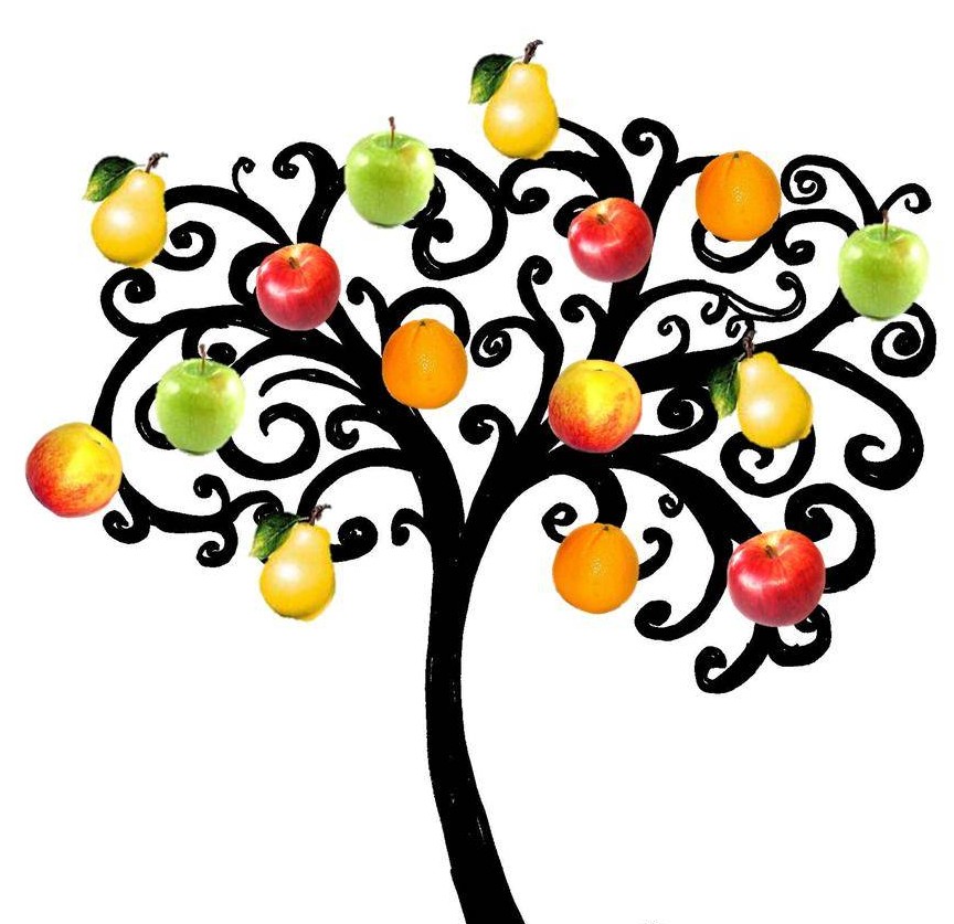 Fruit Cocktail Trees | Gigabiting