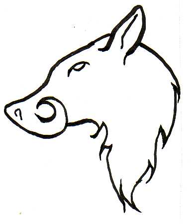 Wild Boar Head Tattoo Design