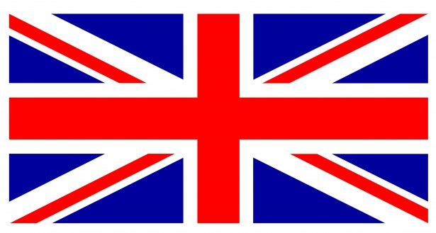 Ladybug Union Jack Free Stock Photo - Public Domain Pictures