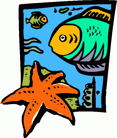 Clipart Sand Dollar | Clipart Panda - Free Clipart Images