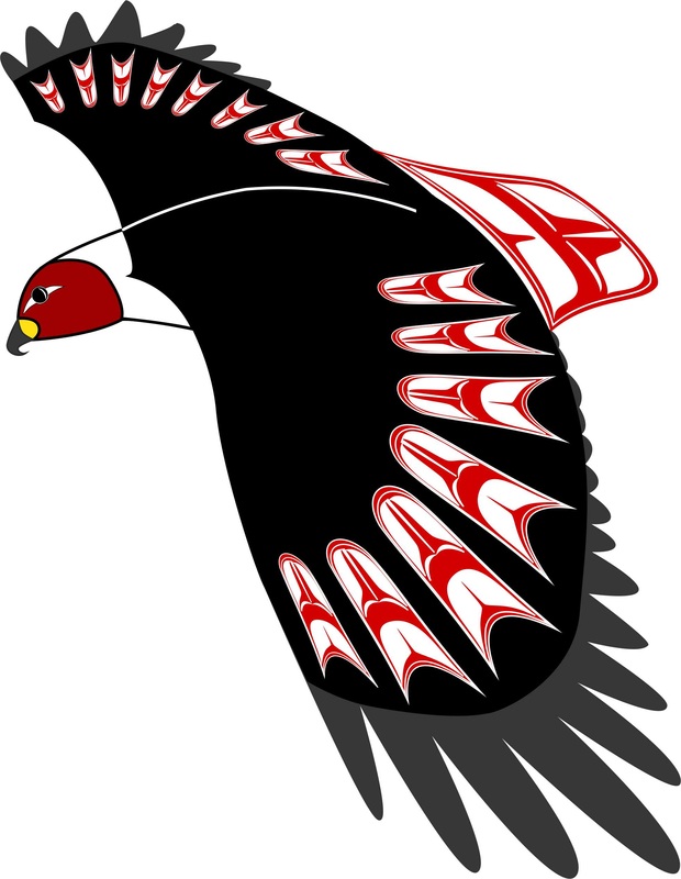 hawk - Haida Point Art