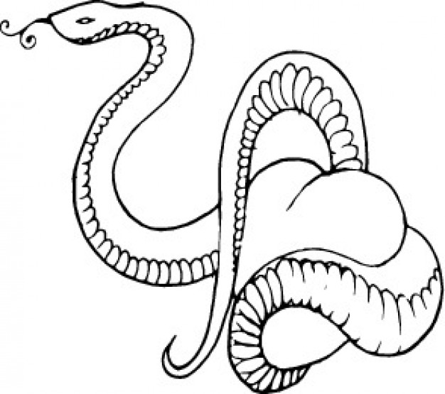 White snake vector clip art Vector | Free Download