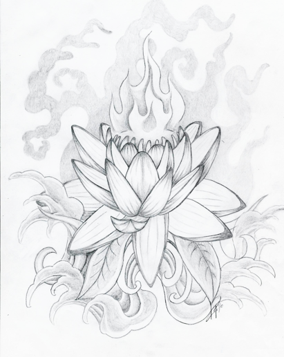 Japanese Lotus Drawing - Gallery