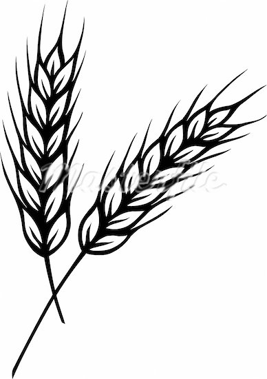 Grains Clipart Black And White | Clipart Panda - Free Clipart Images